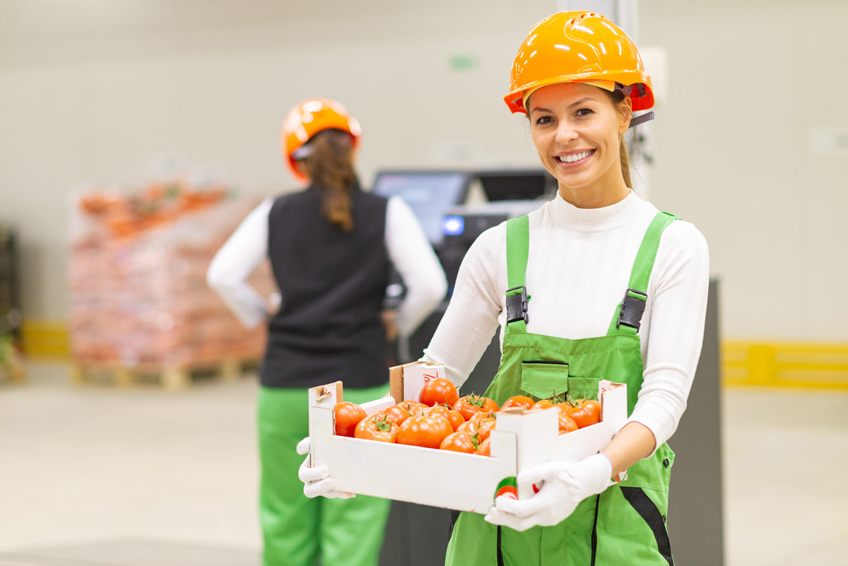 Are There Specific Warehousing Regulations for Food Safety?