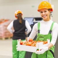 Are There Specific Warehousing Regulations for Food Safety?