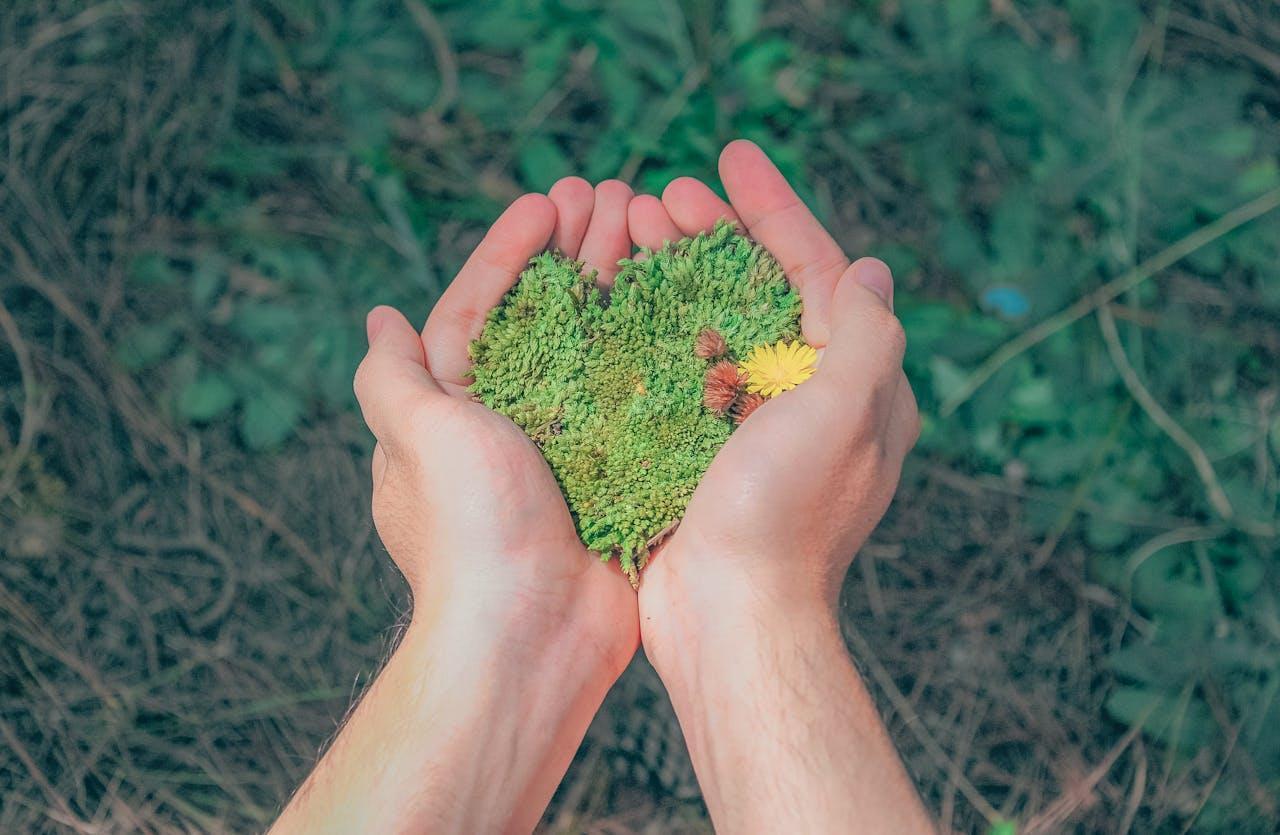 Person holding green grains